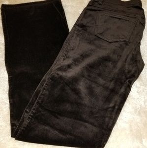 |William B| Bootcut Pants